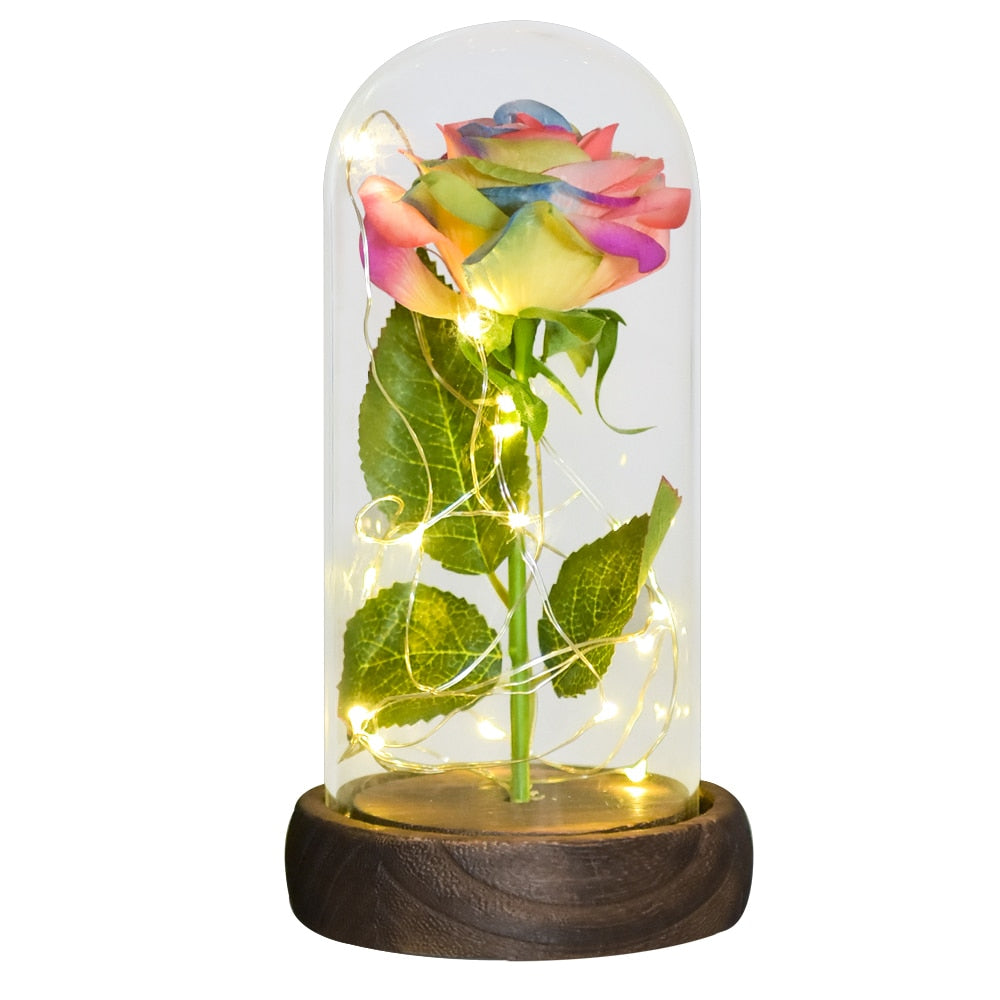 Gifts for Women Beauty and The Beast Preserved Roses In Glass Galaxy Rose LED Light Artificial Flower Birthday Gift for Girls