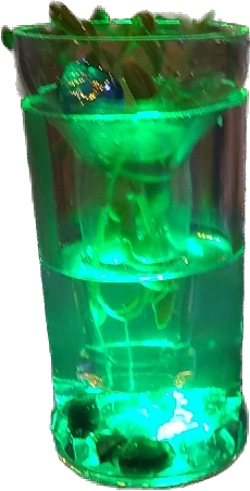Glass n glass only