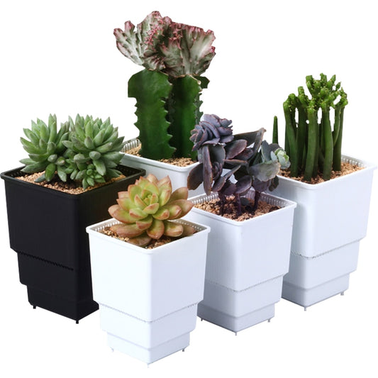 Meshpot 6-Pack Plastic Root Controlling Succulent Pot Cactus Cups Deepen Thickening Garden Pot Planter Container with Drainage